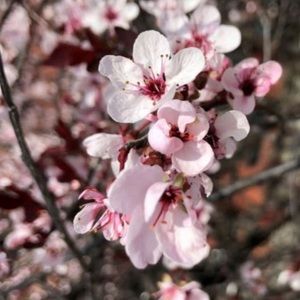 Meet your Posher, Kristin